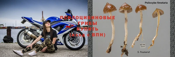 кристаллы Алзамай