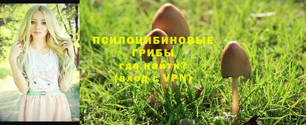 экстази Алексеевка