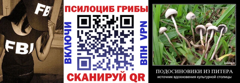 darknet клад Сокол Псилоцибиновые грибы Cubensis