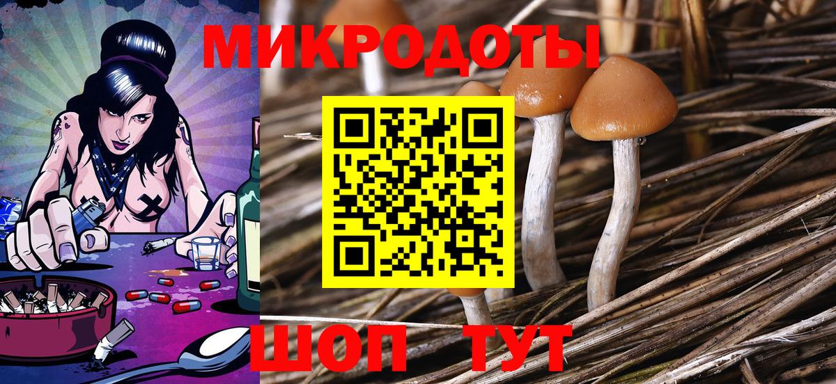 Галлюциногенные грибы Psilocybine cubensis Сокол