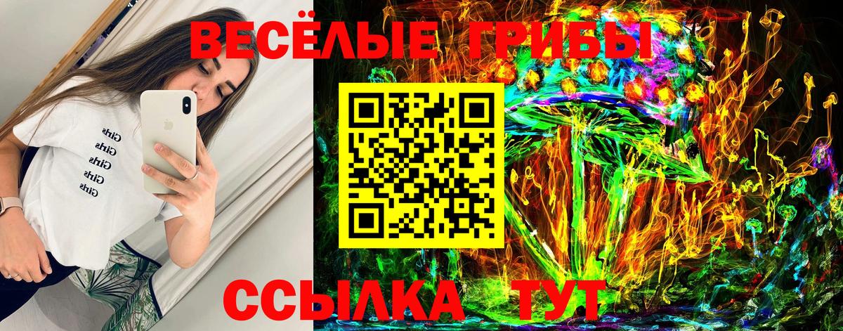 Галлюциногенные грибы GOLDEN TEACHER  Вход с VPN  Сокол 