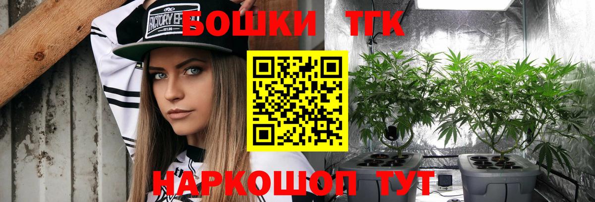 Бошки Шишки план  Вход с VPN  Сокол  Шишки марихуана LSD WEED  Шишки марихуана THC 21%  МАРИХУАНА OG Kush 